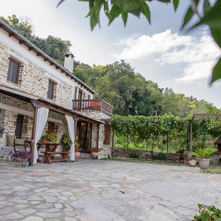 Makrirrákhi Zoes House 빌라 외부 사진
