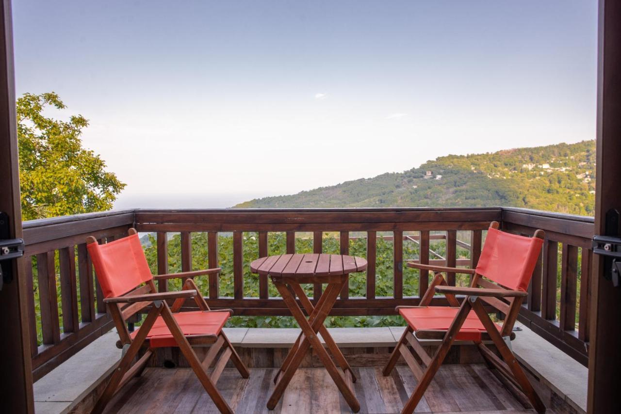 Makrirrákhi Zoes House 빌라 외부 사진