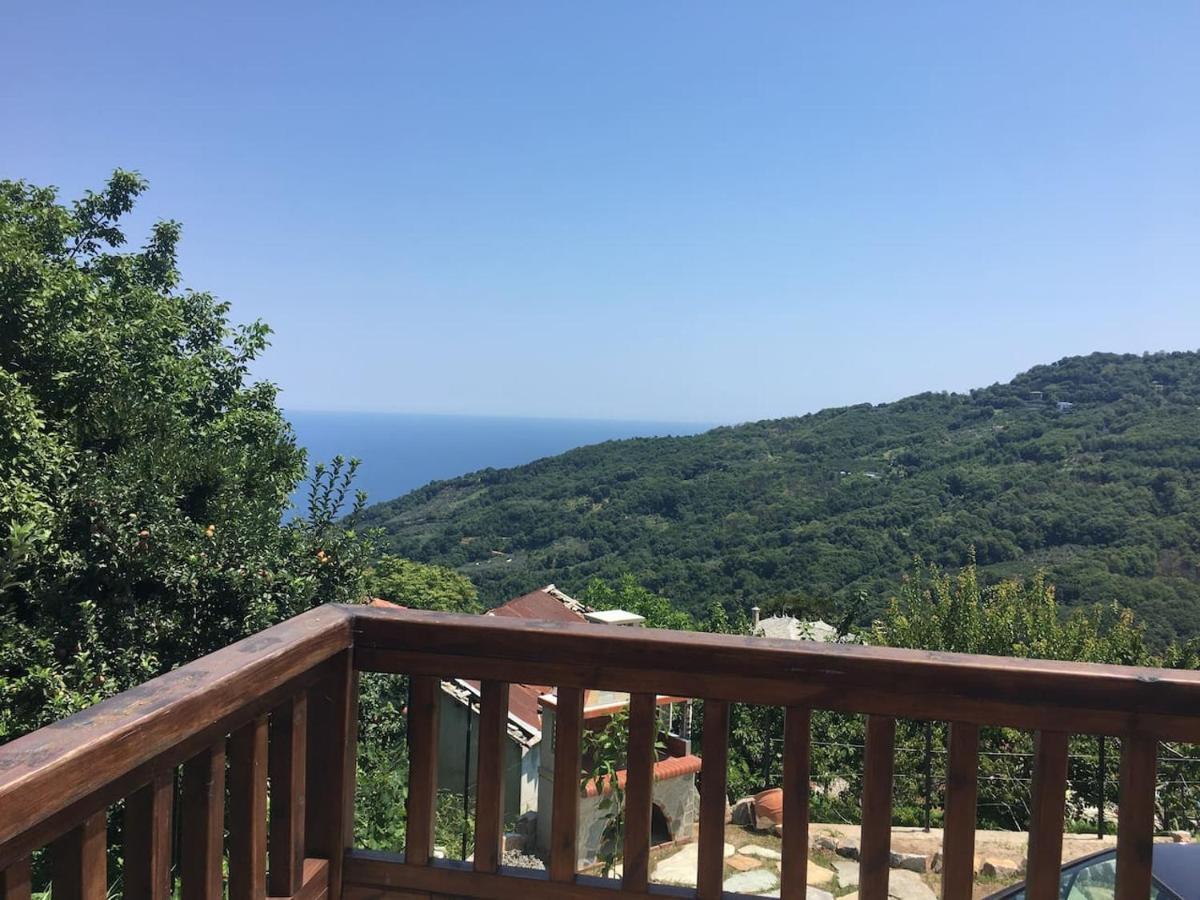 Makrirrákhi Zoes House 빌라 외부 사진